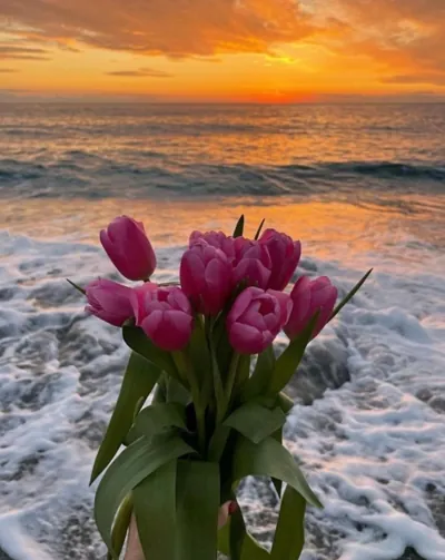 Bìa PHẢN DIỆN U ÁM