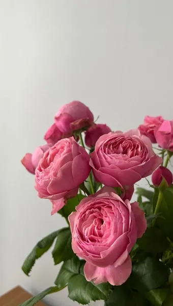 Bìa 5 NĂM THẦM THƯƠNG TRỘM NHỚ EM