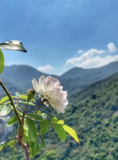 Bìa TAN NÁT CON TIM FULL