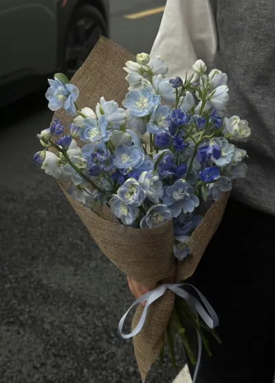 Bìa TÔI CHỌN BỎ RƠI ANH