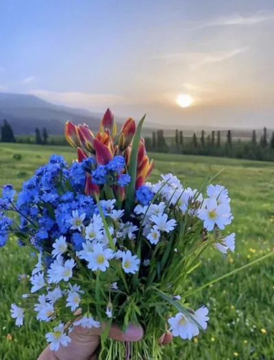 Bìa KẾT HÔN VỚI PHẢN DIỆN