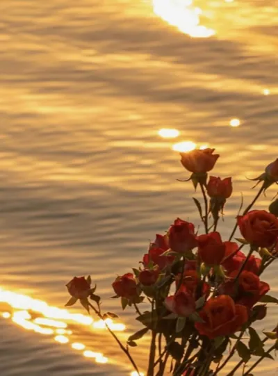 Bìa MẸ KẾ CỦA THIẾU NIÊN PHẢN DIỆN FULL