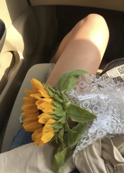 Bìa DIÊM HOÀ VÃN