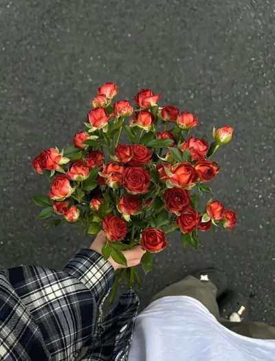 Bìa PHƯƠNG TIỂU TIỂU