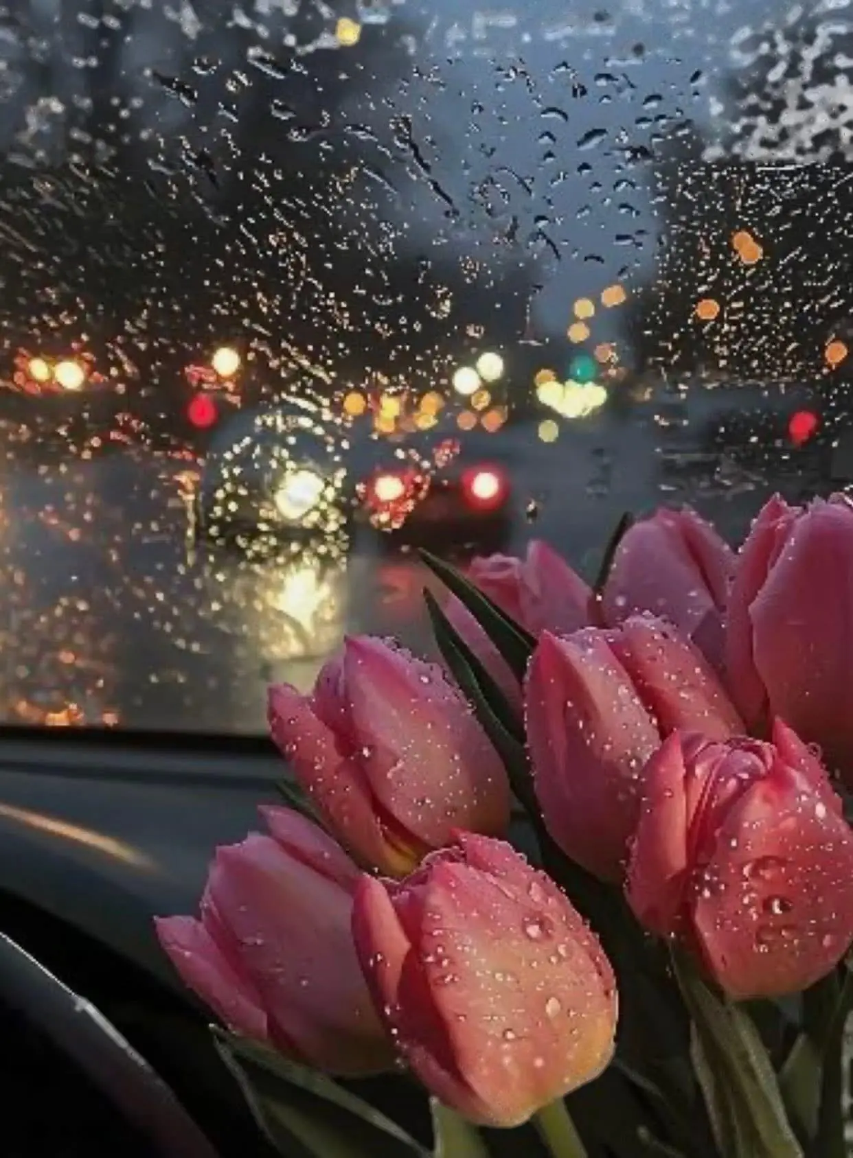 Bìa RỜI XA NHỮNG NGƯỜI MÌNH MUỐN RỜI XA