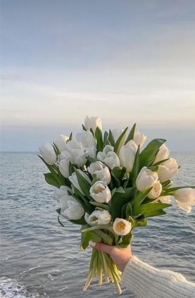 Bìa CHUYẾN BAY RẮN ĐỘC