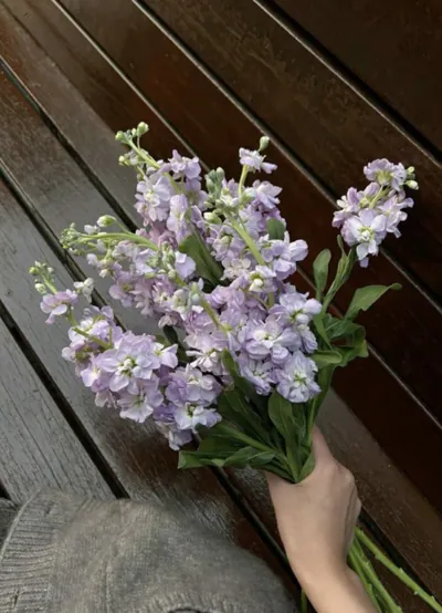 Bìa TIỂU TAM KHIÊU KHÍCH CHÍNH THẤT