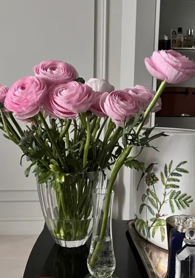 Bìa TIỀN ĐỒ XÁN LẠN