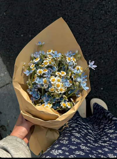 Bìa BÍ MẬT ĐƯỢC HÉ LỘ