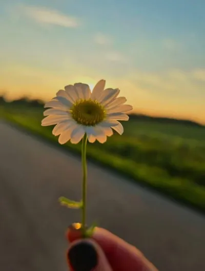 Bìa TÍN VẬT TÌNH YÊU CỦA TỘC NGƯỜI CÁ