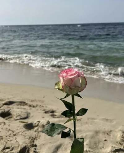 Bìa TRỌNG SINH TRỞ LẠI TÔI GIAO TOÀN BỘ GIẤY BÁO DỰ THI CHO HOA KHÔI TRƯỜNG