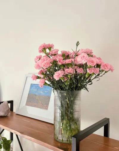 Bìa TÔ ĐƯỜNG full