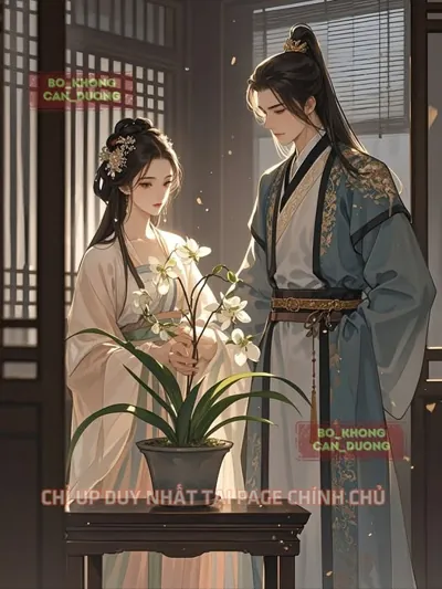 Bìa Hòa Ly Không Hối Tiếc