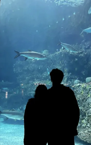 Bìa RỜI XA CỐ HÀNH VÂN