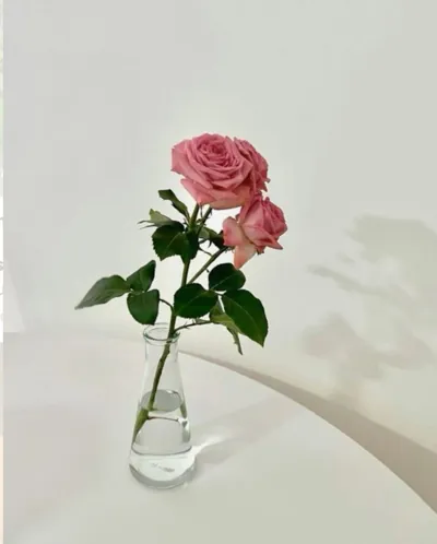 Bìa CHỒNG TÔI LUÔN CHỌN BẢO VỆ BẠCH NGUYỆT QUANG