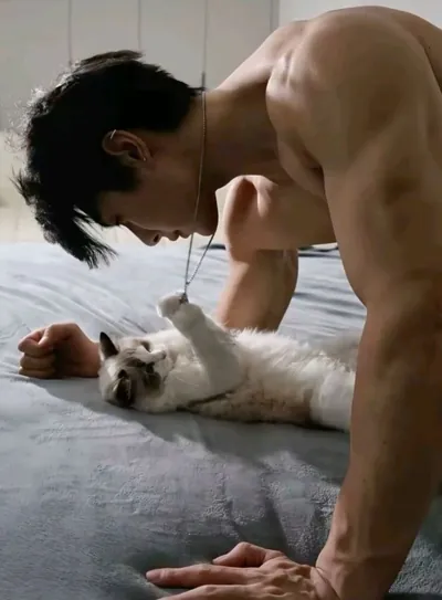 Bìa Mèo Cưng Của Yêu Xà