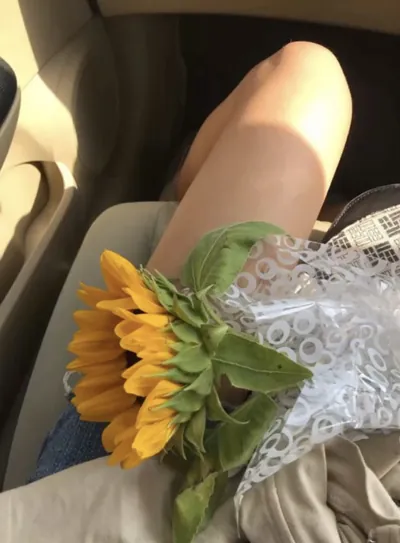 Bìa DIÊM HOÀ VÃN