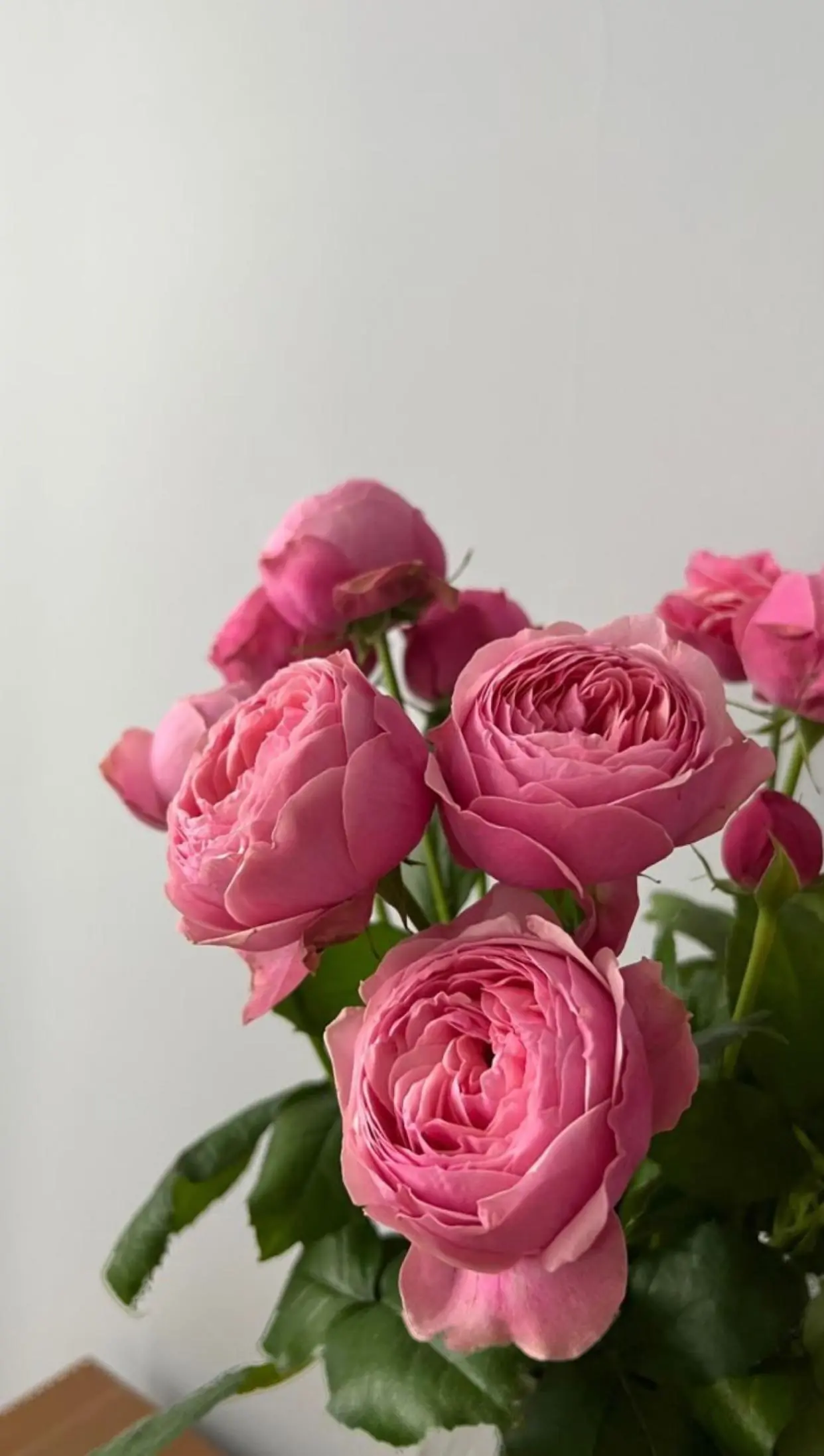 Bìa 5 NĂM THẦM THƯƠNG TRỘM NHỚ EM