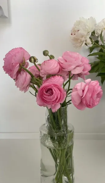 Bìa NẮM TAY ANH ĐẾN CUỐI CUỘC ĐỜI FULL