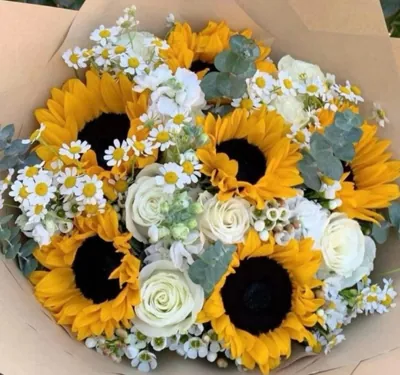 Bìa NGƯỜI CÁ LẠNH LÙNG FULL