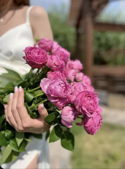 Bìa CHUỖI PHẬT CHÂU CỦA THÁI TỬ GIA