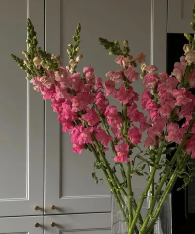 Bìa TIN NHẮN LẠ