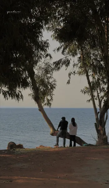 Bìa CHÚNG TA SẼ MÃI MÃI LẠC MẤT NHAU