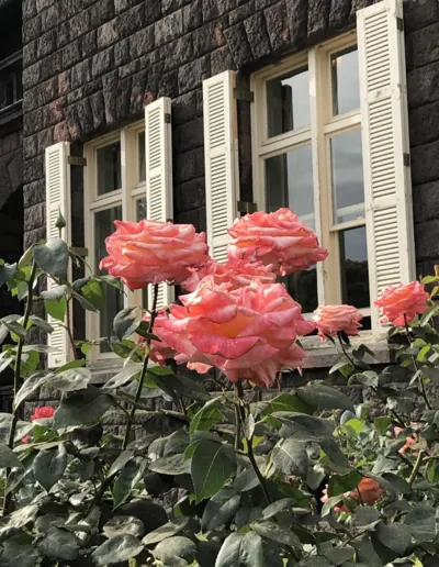 Bìa MỐI QUAN HỆ MỞ