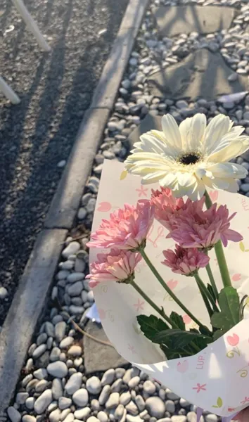 Bìa TÌNH YÊU VÔ BỜ BẾN