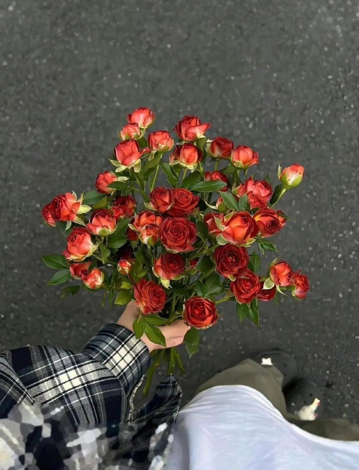 Bìa PHƯƠNG TIỂU TIỂU