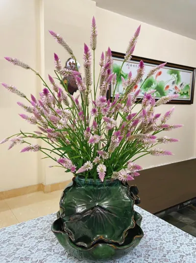 Bìa KIM CƯƠNG LẤP LÁNH