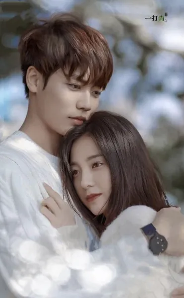 Bìa TRỞ THÀNH THƯ KÝ CỦA LÒNG ANH