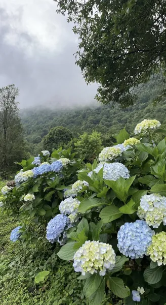 Bìa KÝ ỨC TUỔI 33