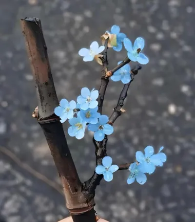 Bìa ĐẠI DƯƠNG SÂU THẲM