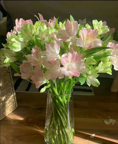 Bìa CHỈ MUỐN GẶP EM MỘT LẦN