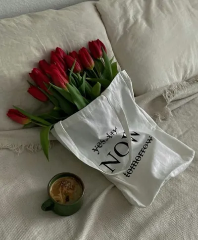 Bìa Y SAO BẢN CHÍNH