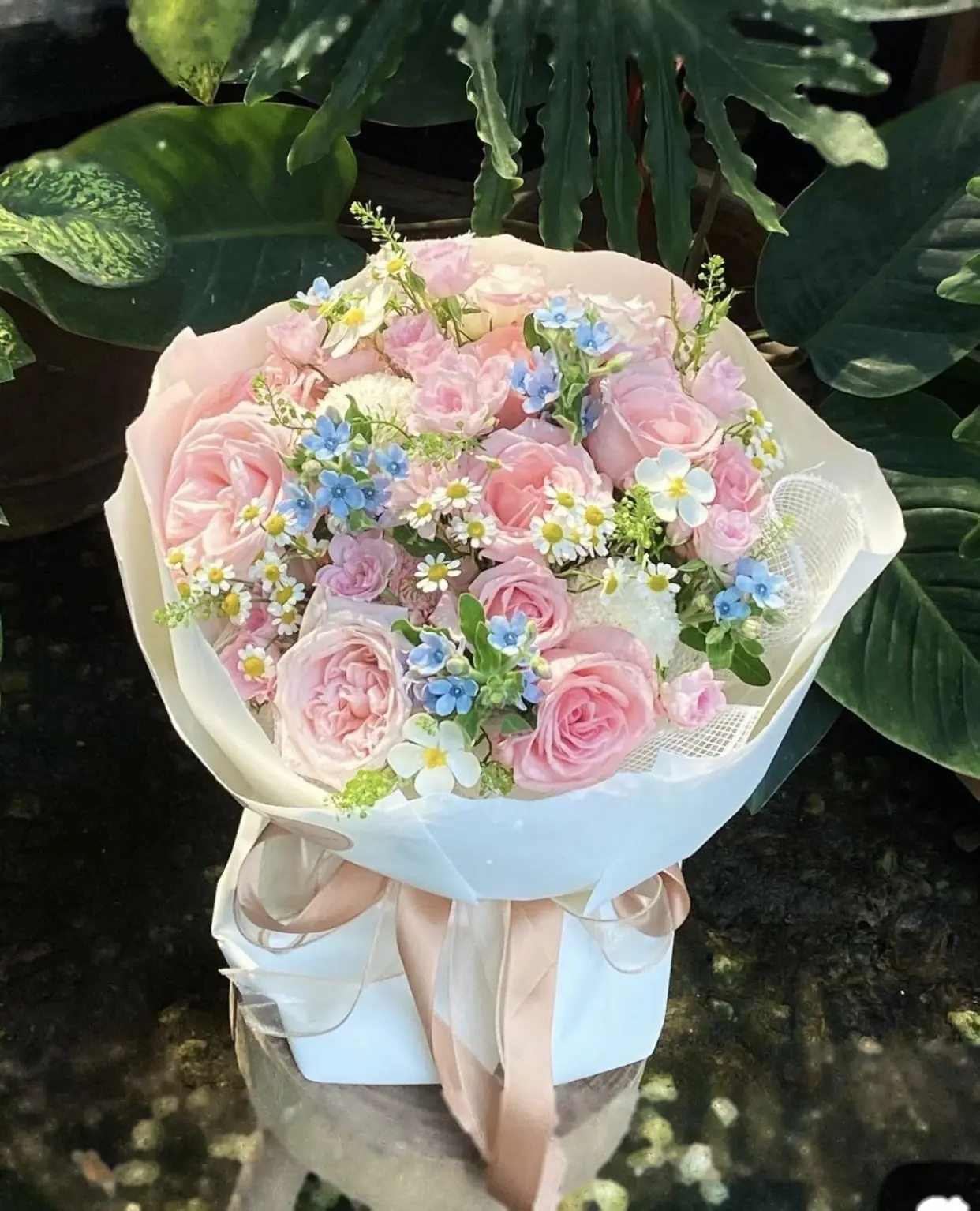 Bìa TÁI HÔN VỚI KẺ THÙ KHÔNG ĐỘI TRỜI CHUNG