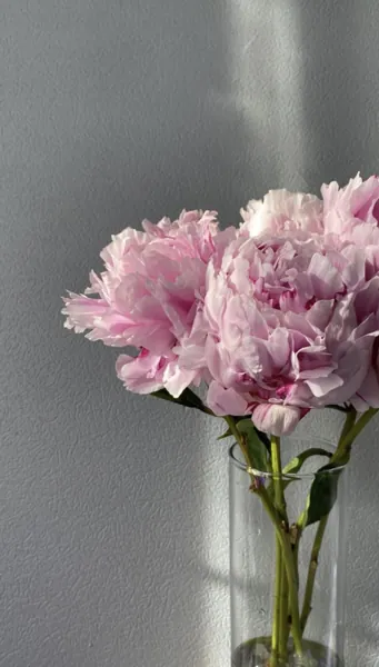 Bìa BẢO BỐI MÍT ƯỚT