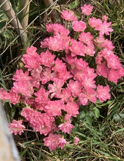 Bìa MỖI GIÂY PHÚT BÊN EM LÀ HẠNH PHÚC TRONG ANH