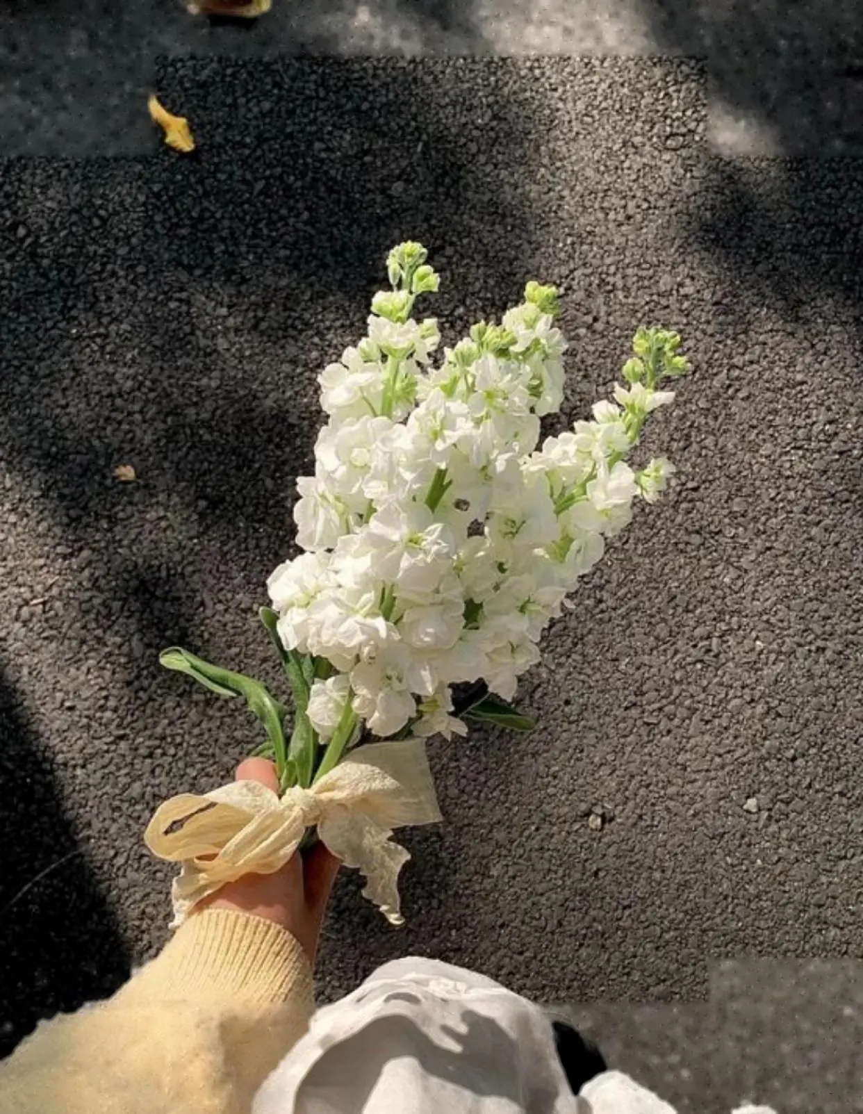 Bìa NHÂN QUẢ LUÔN HỒI