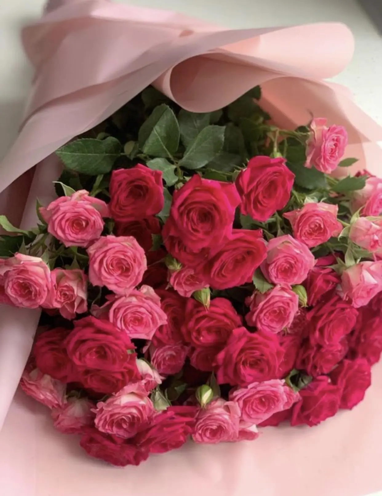 Bìa THIẾU GIA CÂM